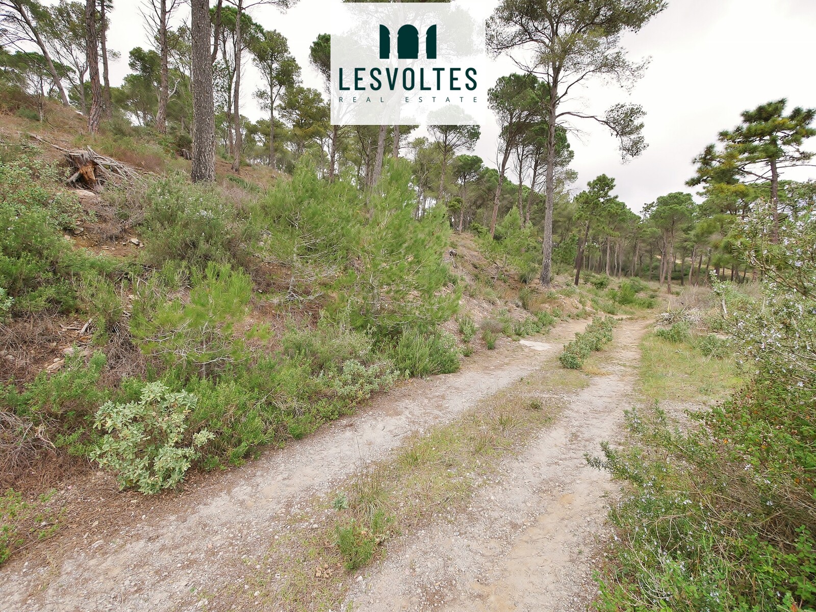 TERRENO DE 1255 M² SITUADO EN RESIDENCIAL BEGUR